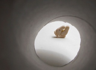 Gesine-Froelich-6 Gesine Frölich, foto.kunst.kultur