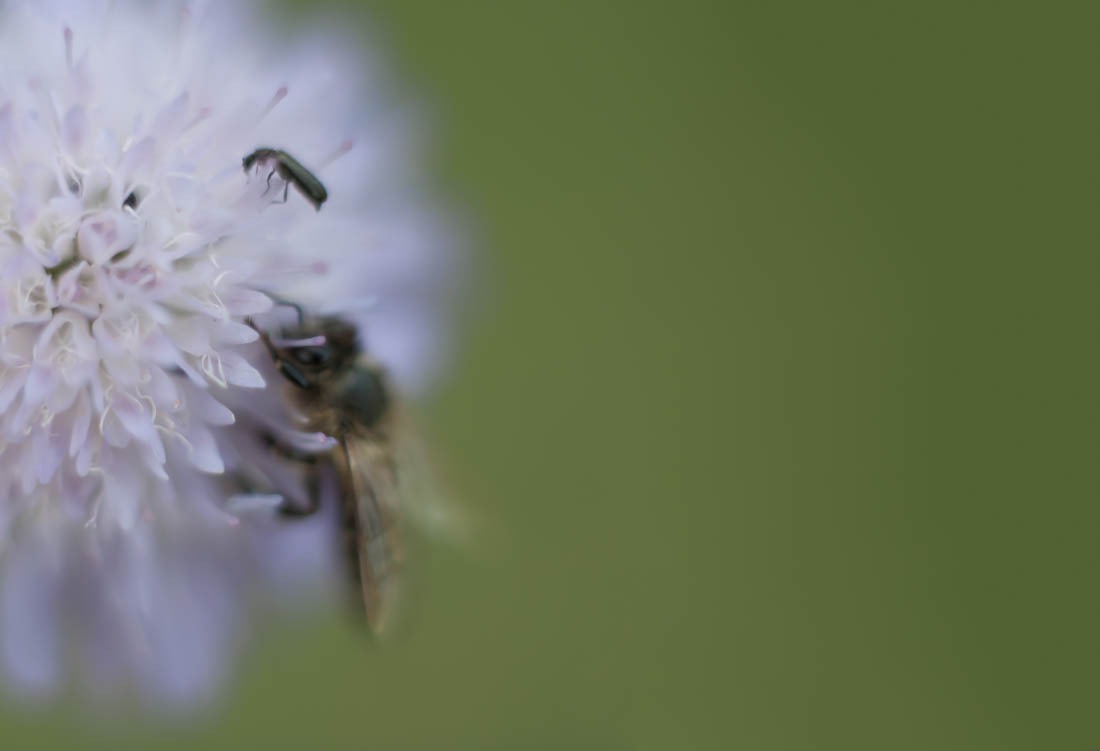 Helga Partikel, foto.kunst.kultur