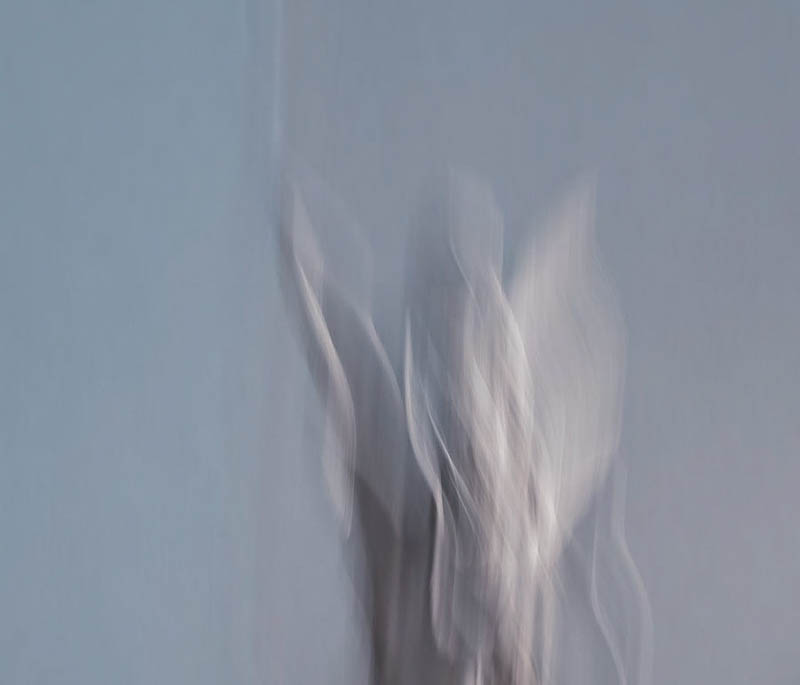 Christa Schiffner, Meisterklasse kreative Fotografie, foto.kunst.kultur