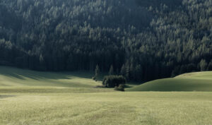 Fotowoche Steiermark, Helga Partikel, foto.kunst.kultur