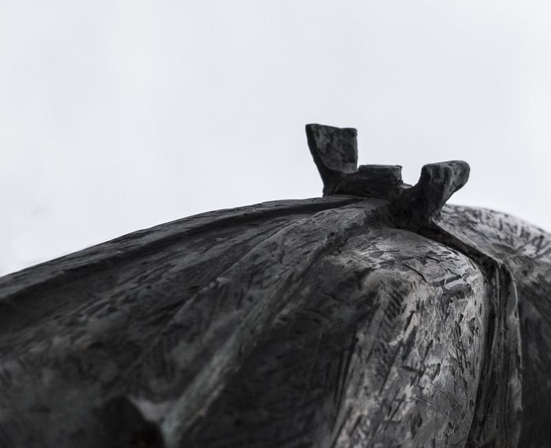 Astrid Steingrüber, foto.kunst.kultur