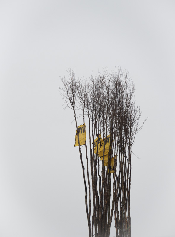 Bärbel Maenss, foto.kunst.kultur, Fotokurs Sylt