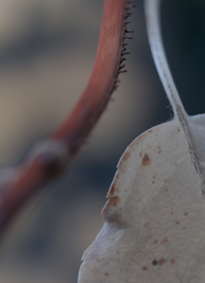 Manuela Dürr, Wabi-Sabi, Egglhof, foto.kunst.kultur