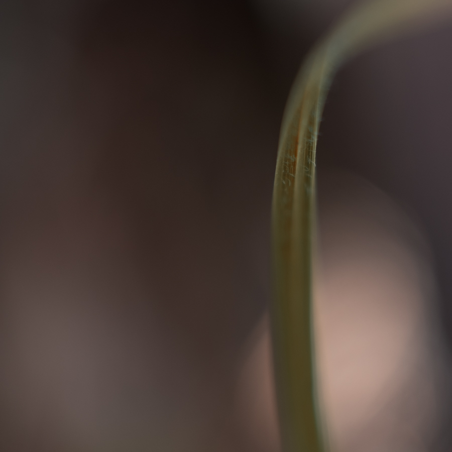 Manuela Dürr, Wabi-Sabi, Egglhof, foto.kunst.kultur