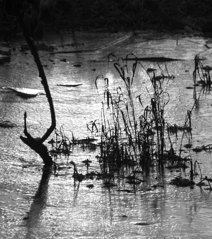 Chrita Bufe, Wabi-Sabi-foto.kunst.kultur