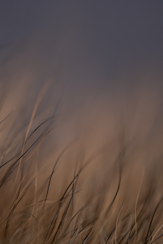 Iris Gleich, Wabi-Sabi-foto.kunst.kultur