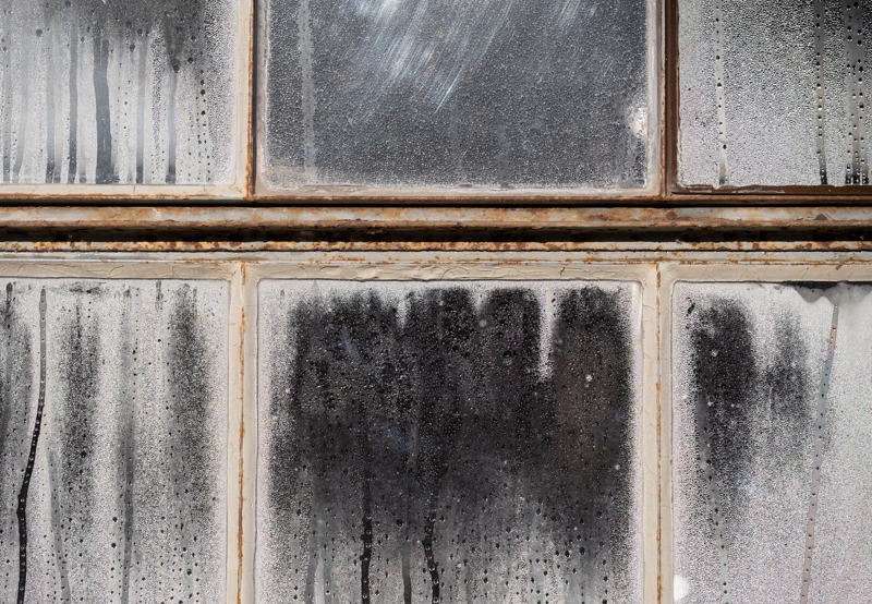 Iris Gleich, Wabi-Sabi-foto.kunst.kultur