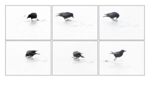 Fotogruppen, Sequenz, foto.kunst.kultur, helga partikel
