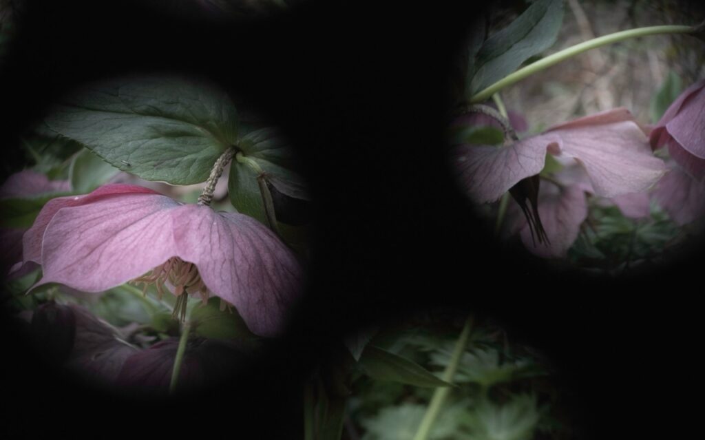 Dirk Baum, Meisterklasse Kreative Fotografie, foto.kunst.kultur