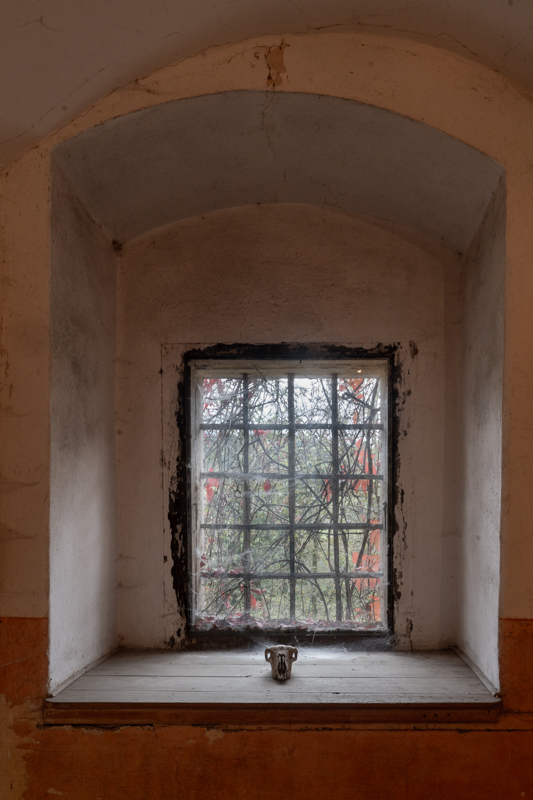 Christine Deppermann, Fotowoche Steiermark, Pichlschloss, foto.kunst.kultur
