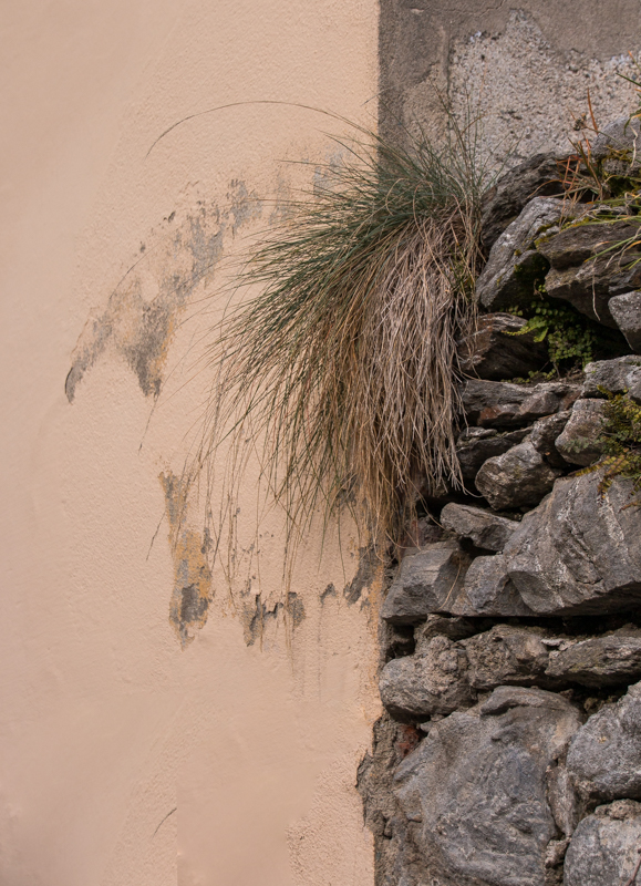 Helga Daniel, Fotowoche Steiermark, Pichlschloss, foto.kunst.kultur