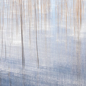 Winterstücke-4 Winterstücke, Ulrike Kirch, foto.kunst.kultur, Meisterklasse kreative Fotografie