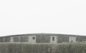 Deadpan, foto.kunst.kultur, Helga Partikel
