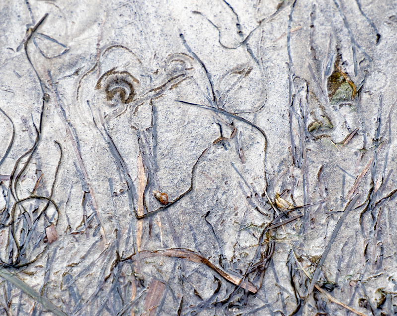 Angelika-Ehlers-Sylt-foto-kunst-kultur-2 Angelika Ehlers, Sylt, foto.kunst.kultur