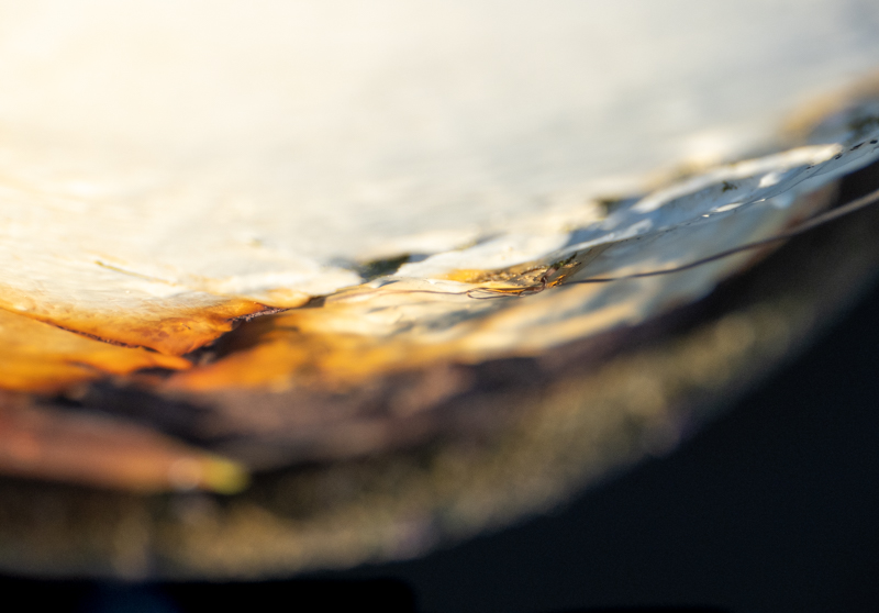 Angelika-Ehlers-Sylt-foto-kunst-kultur-3 Angelika Ehlers, Sylt, foto.kunst.kultur