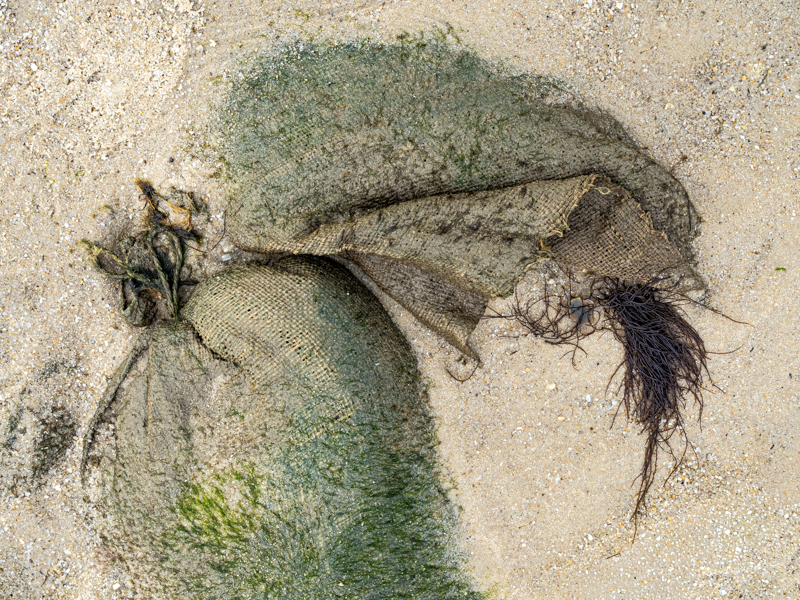 Angelika-Ehlers-Sylt-foto-kunst-kultur-4 Angelika Ehlers, Sylt, foto.kunst.kultur