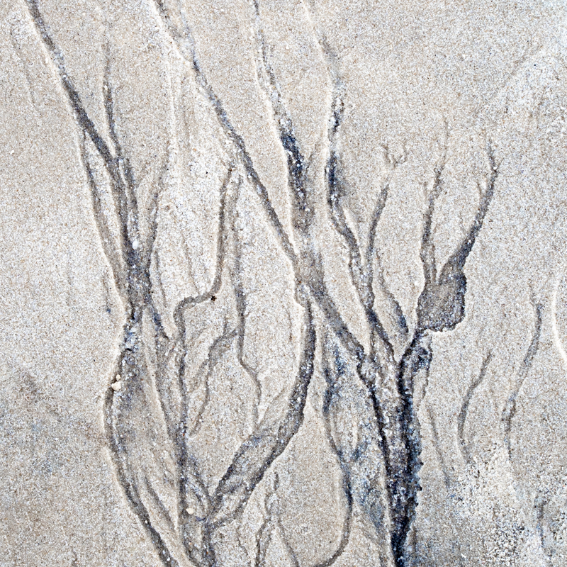 Angelika-Ehlers-Sylt-foto-kunst-kultur Angelika Ehlers, Sylt, foto.kunst.kultur