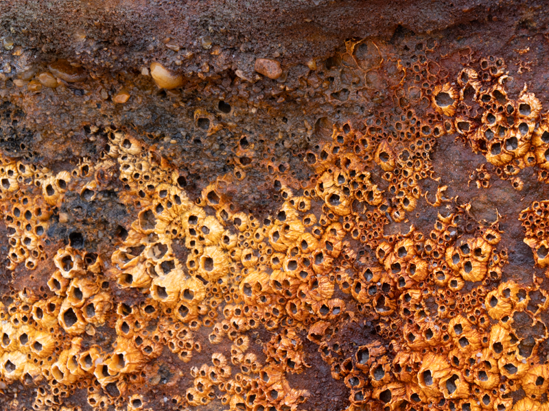 Heike-Nückles-Sylt-foto-kunst-kultur-2 Heike Nückles, Sylt, foto.kunst.kultur