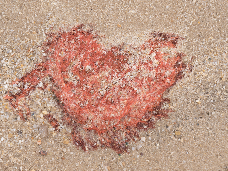 Heike-Nückles-Sylt-foto-kunst-kultur-3 Heike Nückles, Sylt, foto.kunst.kultur