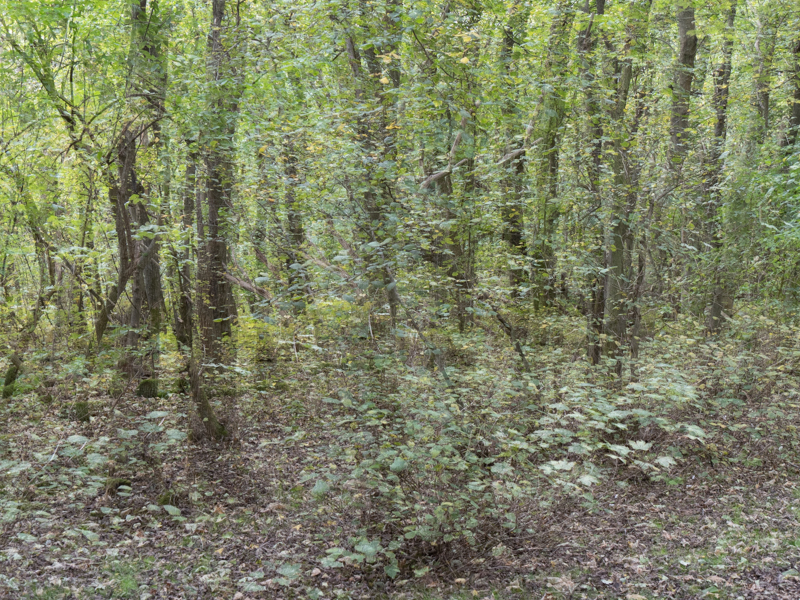 Heike-Nückles-Sylt-foto-kunst-kultur Heike Nückles, Sylt, foto.kunst.kultur