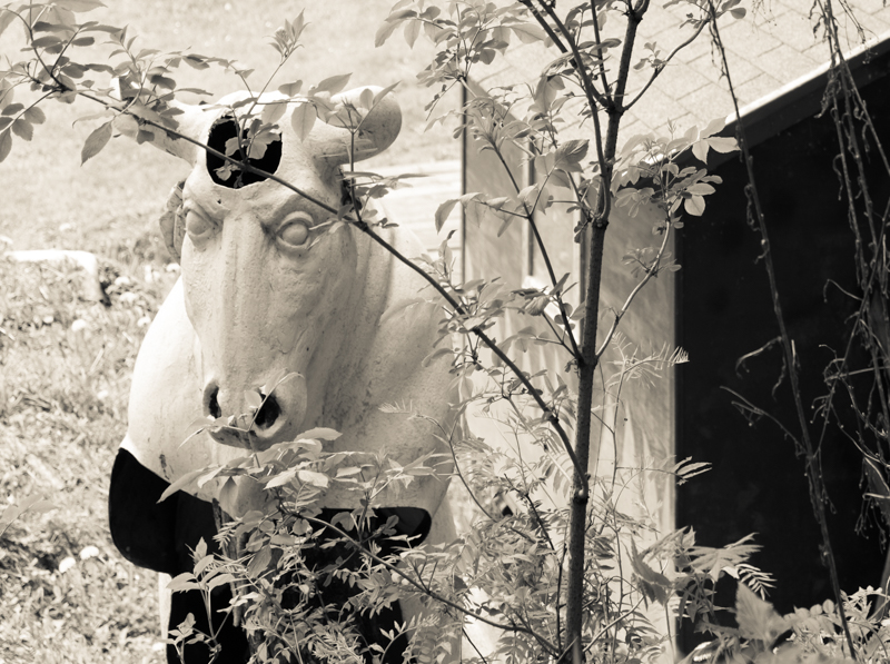 Helga-Partikel-foto-kunst-kultur-Pichlschloss-1-2 Helga Partikel, foto.kunst.kultur, Steiermark, Fotowoche Pichlschloss