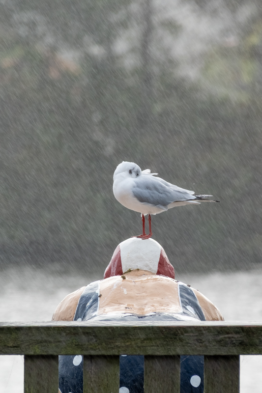 Iris-Gleich-Sylt-foto-kunst-kultur-3-2 Iris Gleich, Sylt, foto.kunst.kultur
