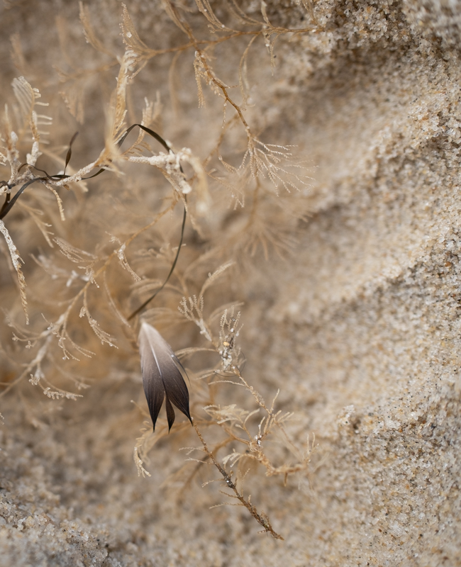 Iris-Gleich-Sylt-foto-kunst-kultur Iris Gleich, Sylt, foto.kunst.kultur