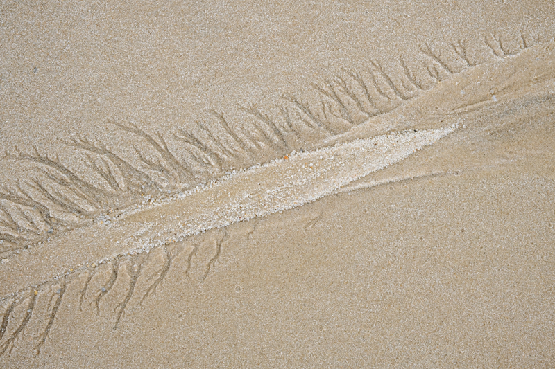 Waltraud Friesenbichler-Sylt-foto-kunst-kultur Waltraud Friesenbichler, Sylt, foto.kunst.kultur