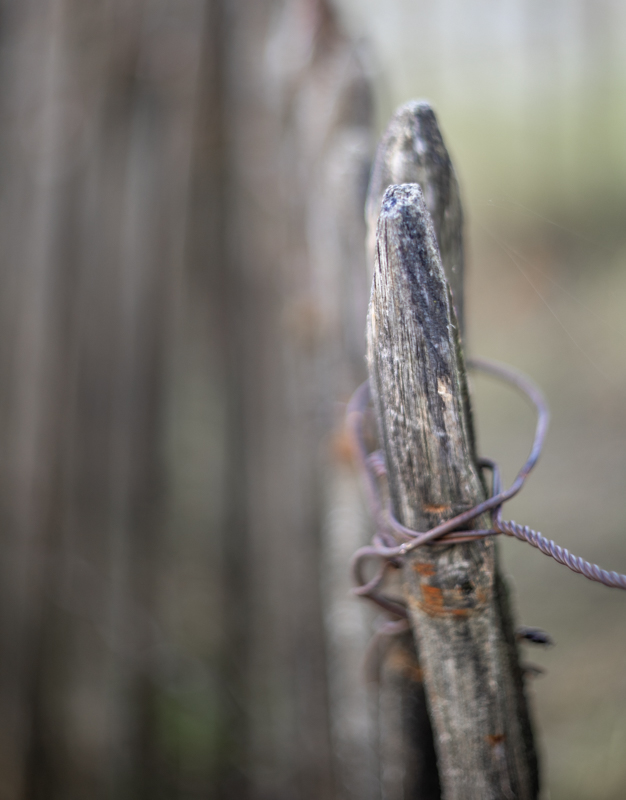 Alena Meißner, Wabi-Sabi, Egglhof, foto.kunst.kultur