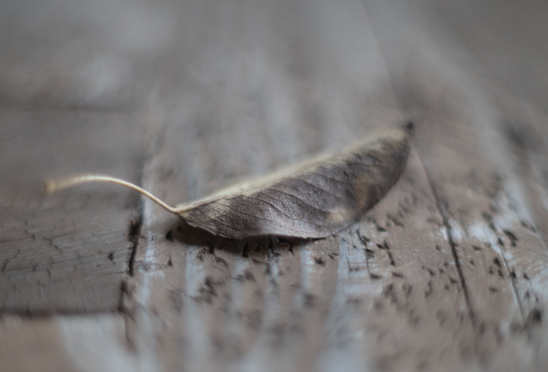 Alena Meißner, Wabi-Sabi, Egglhof, foto.kunst.kultur