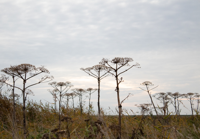 Beatrix Karok, Sylt, foto.kunst.kultur