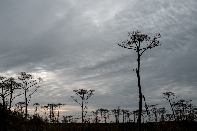Christa Prechtl, Sylt, foto.kunst.kultur
