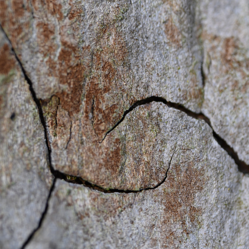 Christine Herz, Wabi-Sabi, Egglhof, foto.kunst.kultur