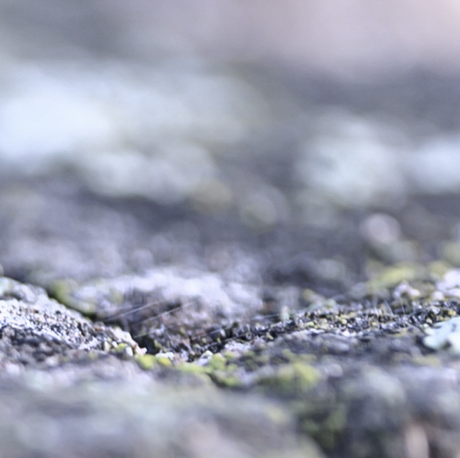 Christine Herz, Wabi-Sabi, Egglhof, foto.kunst.kultur