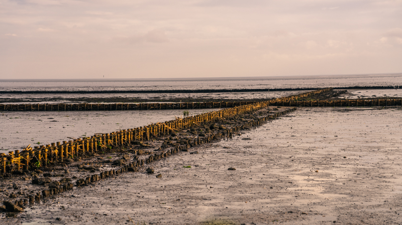 Dr. Dirk Schleibaum, Sylt, foto.kunst.kultur