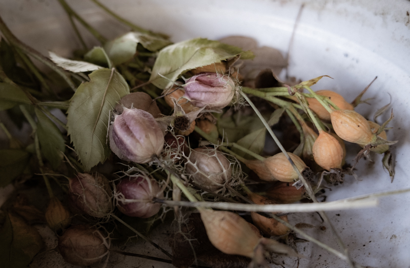Erich Lütke-Steinhorst, Wabi-Sabi, Egglhof, foto.kunst.kultur