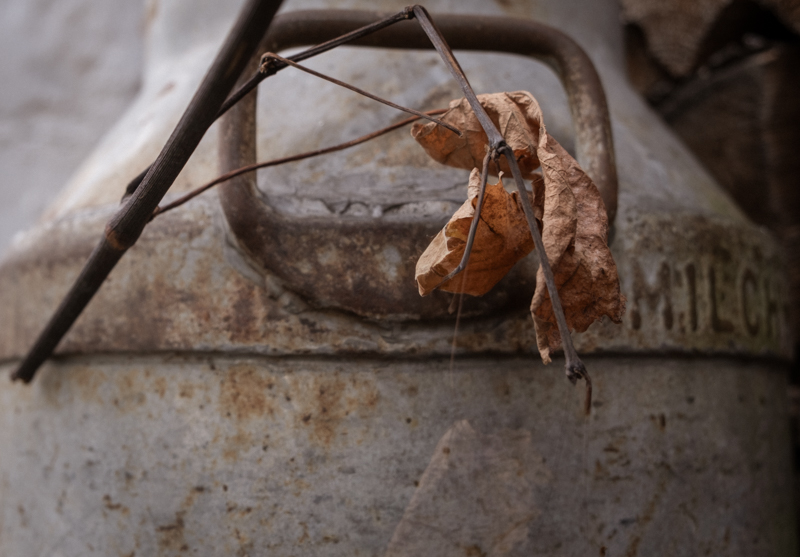 Erich Lütke-Steinhorst, Wabi-Sabi, Egglhof, foto.kunst.kultur