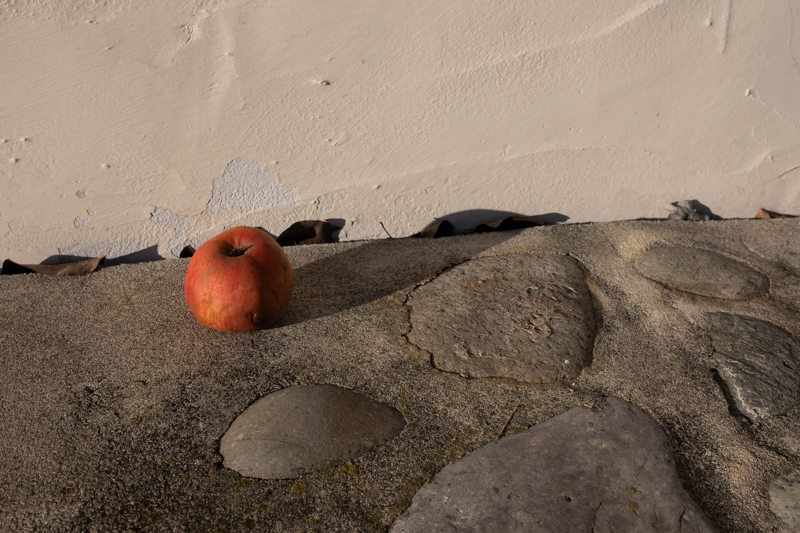 Erich Lütke-Steinhorst, Wabi-Sabi, Egglhof, foto.kunst.kultur