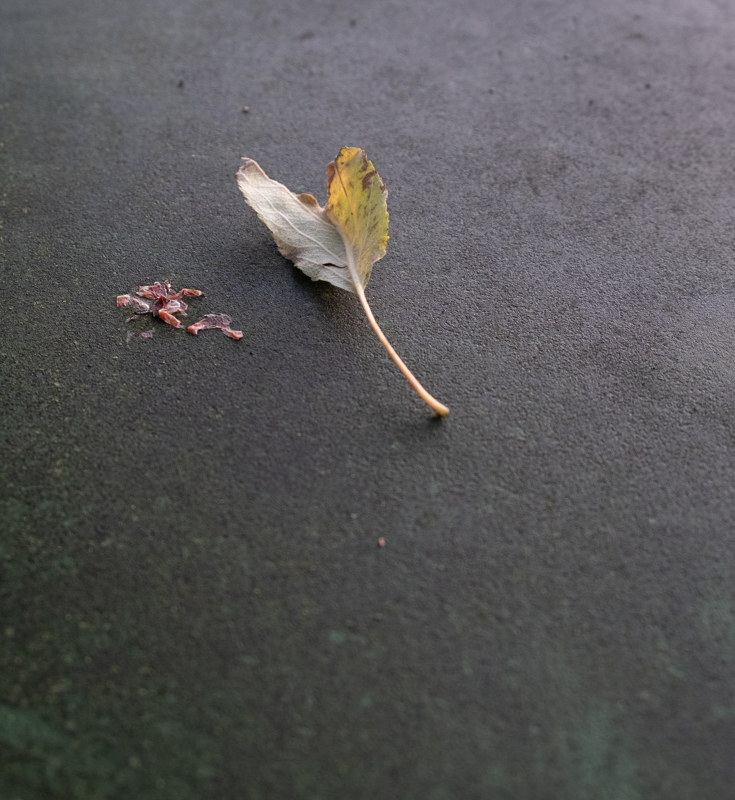 Erich Lütke-Steinhorst, Wabi-Sabi, Egglhof, foto.kunst.kultur