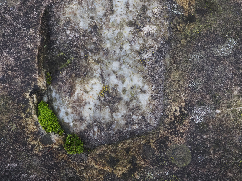 Eva Krebs, Wabi-Sabi, Egglhof, foto.kunst.kultur
