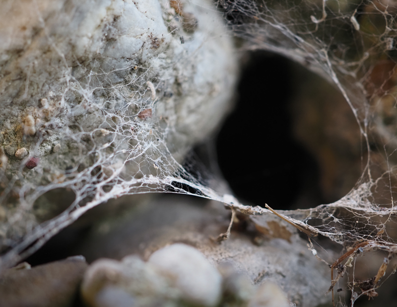 Eva Krebs, Wabi-Sabi, Egglhof, foto.kunst.kultur