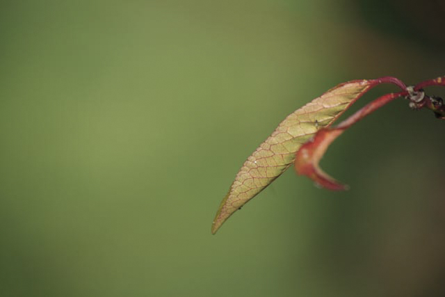 Joachim Förtsch, Wabi-Sabi, Egglhof, foto.kunst.kultur