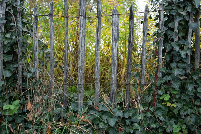 Joachim Förtsch, Wabi-Sabi, Egglhof, foto.kunst.kultur