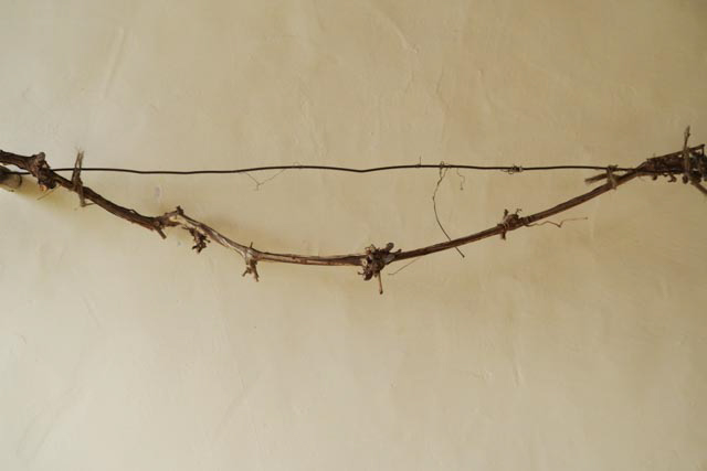 Joachim Förtsch, Wabi-Sabi, Egglhof, foto.kunst.kultur