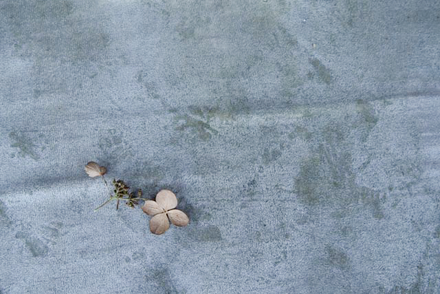 Joachim Förtsch, Wabi-Sabi, Egglhof, foto.kunst.kultur