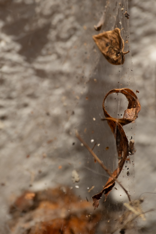 Renate Ober, Wabi-Sabi, Egglhof, foto.kunst.kultur