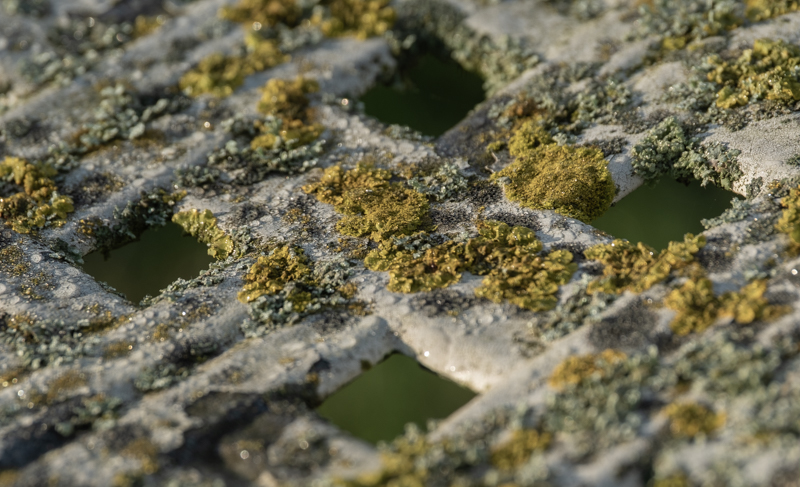 Rita Flecke, Wabi-Sabi, Egglhof, foto.kunst.kultur