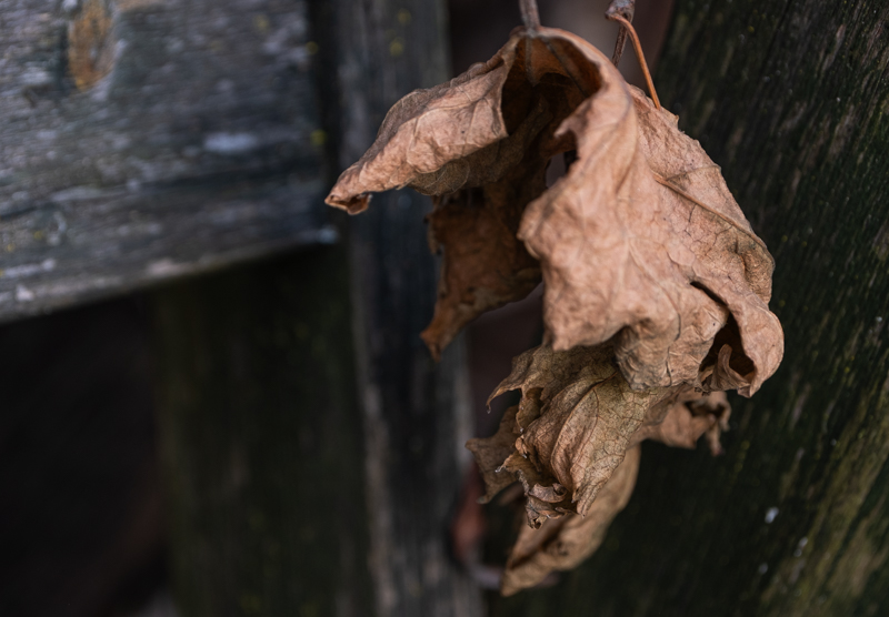 Rita Flecke, Wabi-Sabi, Egglhof, foto.kunst.kultur