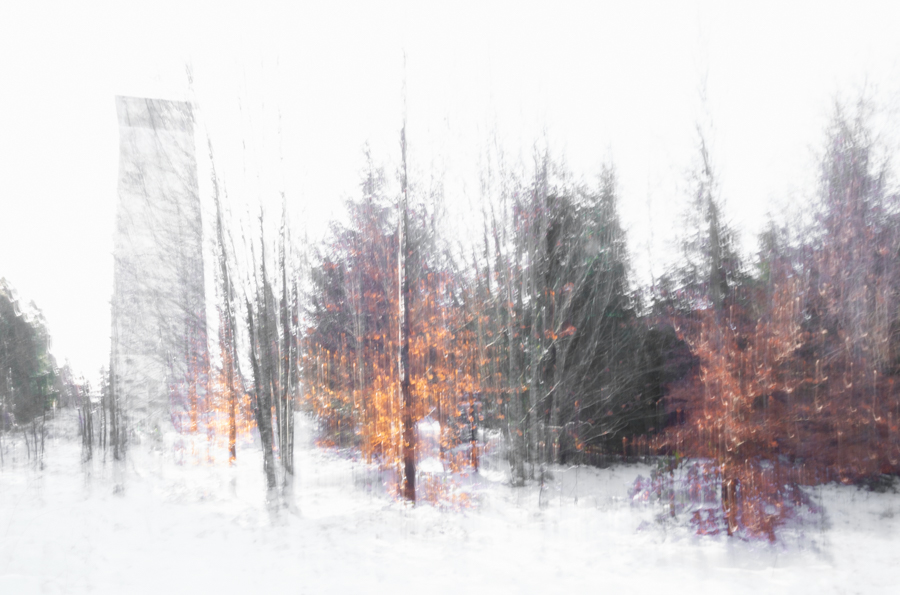 Birgit Dolzer, Malen mit der Kamera, foto.kunst.kultur