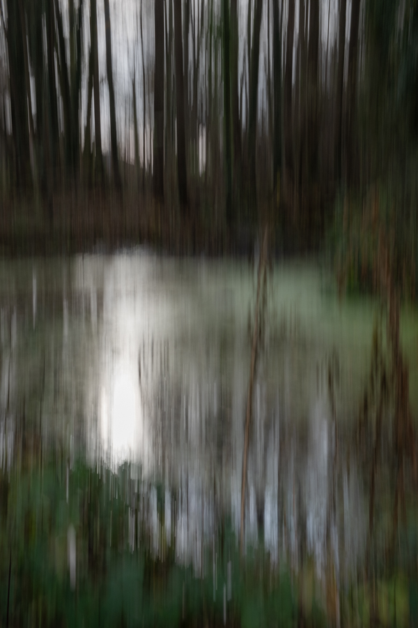 Susanne Abendschein, Malen mit der Kamera, foto.kunst.kultur